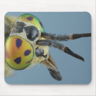 Head of deer fly mouse mat