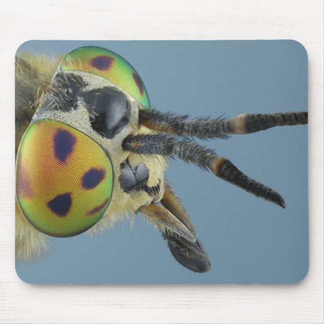 Head of deer fly mouse mat (Front)