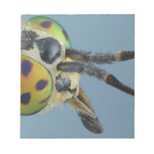 Head of deer fly notepad
