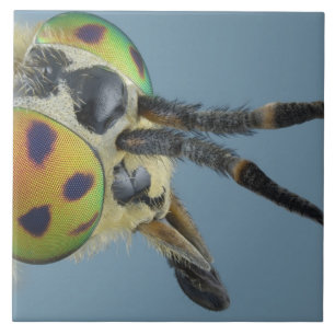 Head of deer fly tile