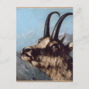 Head of Gazelle by Gustave Courbet Postcard