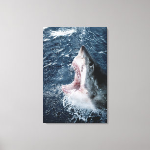 Head of Great White Shark Canvas Print