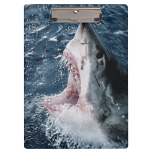 Head of Great White Shark Clipboard