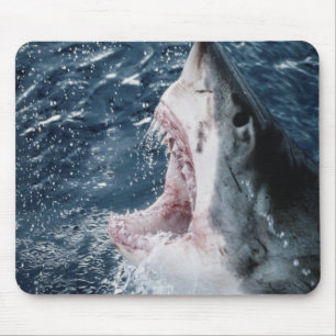 Head of Great White Shark Mouse Mat