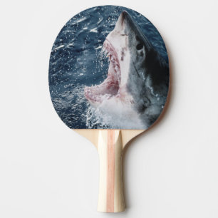 Head of Great White Shark Ping Pong Paddle