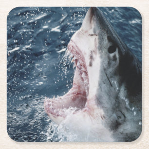 Head of Great White Shark Square Paper Coaster