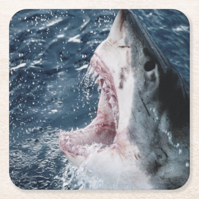 Head of Great White Shark Square Paper Coaster (Front)