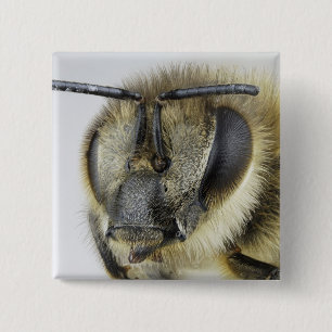 Head of honeybee 15 cm square badge