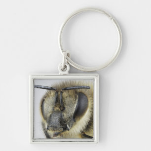 Head of honeybee key ring