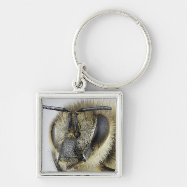 Head of honeybee key ring (Front)