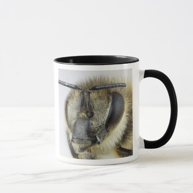 Head of honeybee mug (Right)