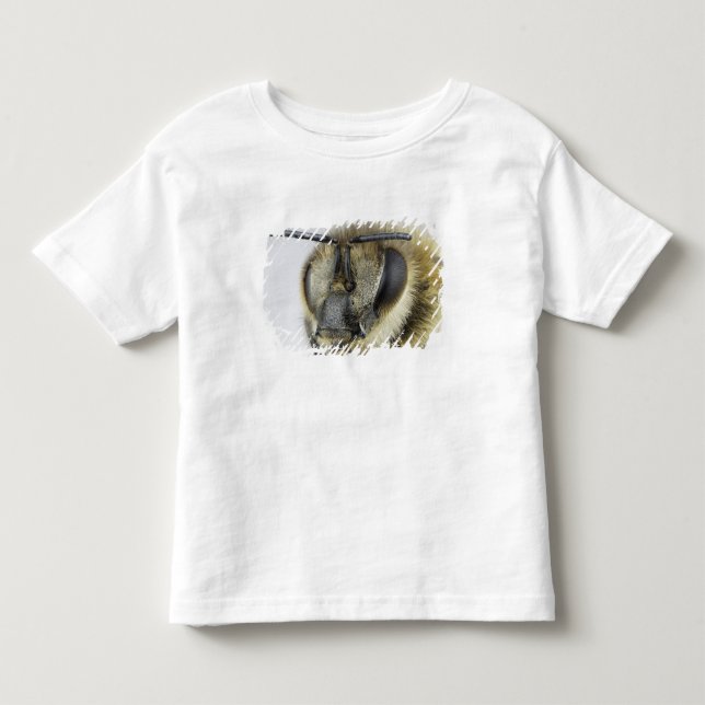 Head of honeybee toddler T-Shirt (Front)