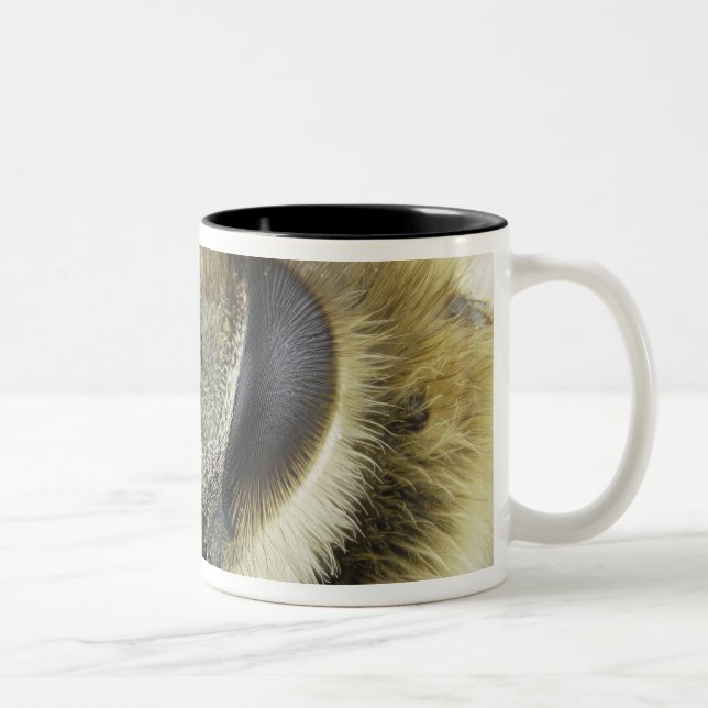 Head of honeybee Two-Tone coffee mug (Right)