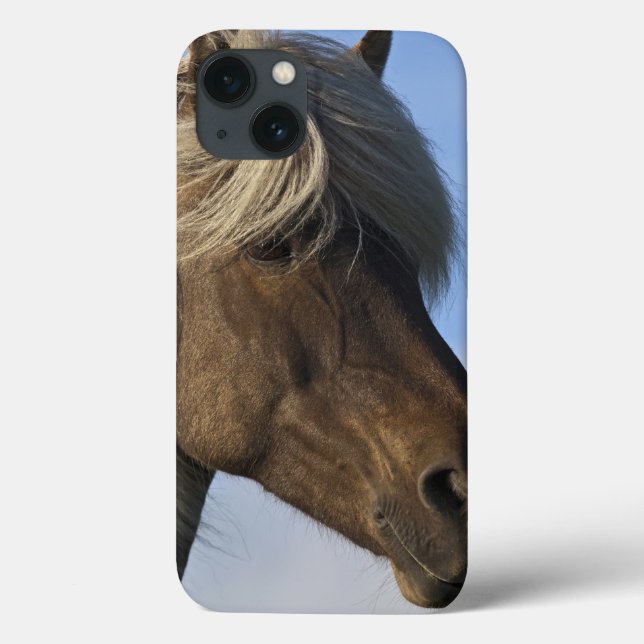 Head of Icelandic horse, Iceland Case-Mate iPhone Case (Back)