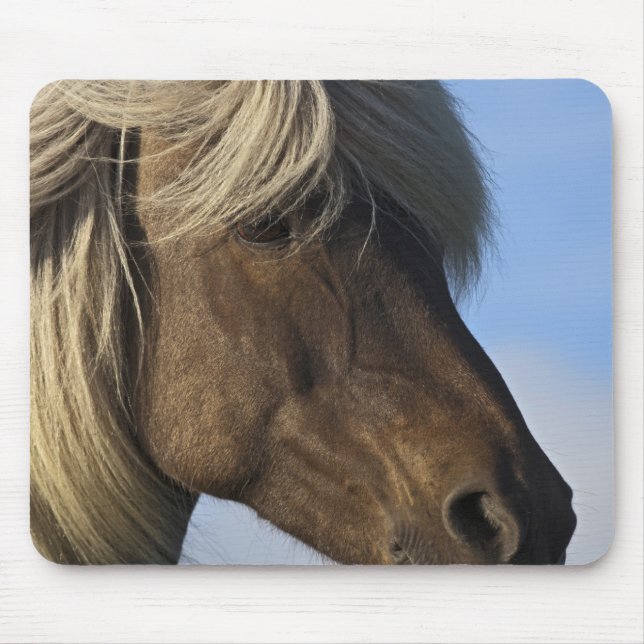 Head of Icelandic horse, Iceland Mouse Mat (Front)