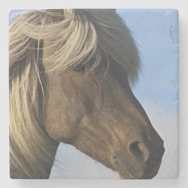 Head of Icelandic horse, Iceland Stone Coaster (Front)