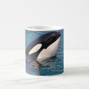 Head of killer whale coffee mug