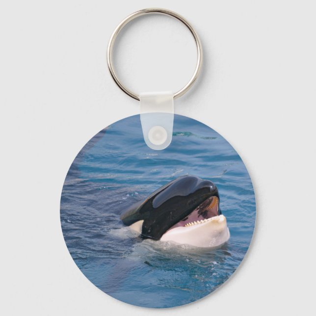 Head of killer whale key ring (Front)