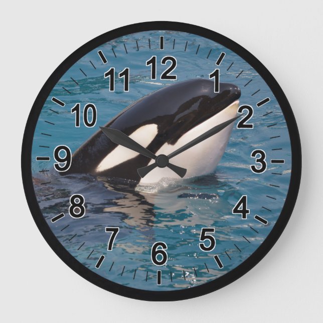 Head of killer whale large clock (Front)