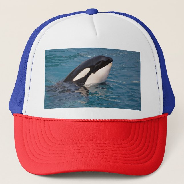 Head of killer whale trucker hat (Front)