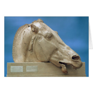 Head of one of the horses of Selene