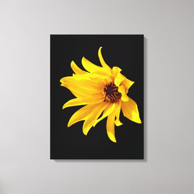 Head of yellow daisy Helenium Canvas Print (Front)