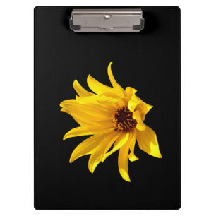 Head of yellow daisy Helenium Clipboard