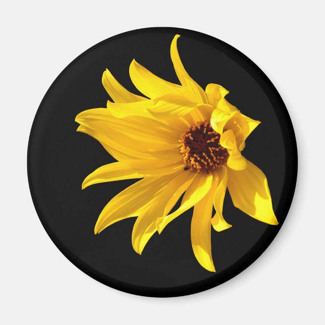 Head of yellow daisy Helenium Magnet (Front)