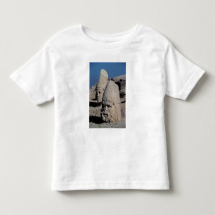Head of Zeus-Oromandes and a goddess Toddler T-Shirt