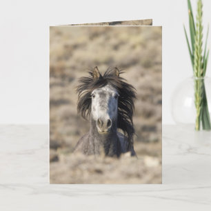 Head On Wild Horse Greeting Card