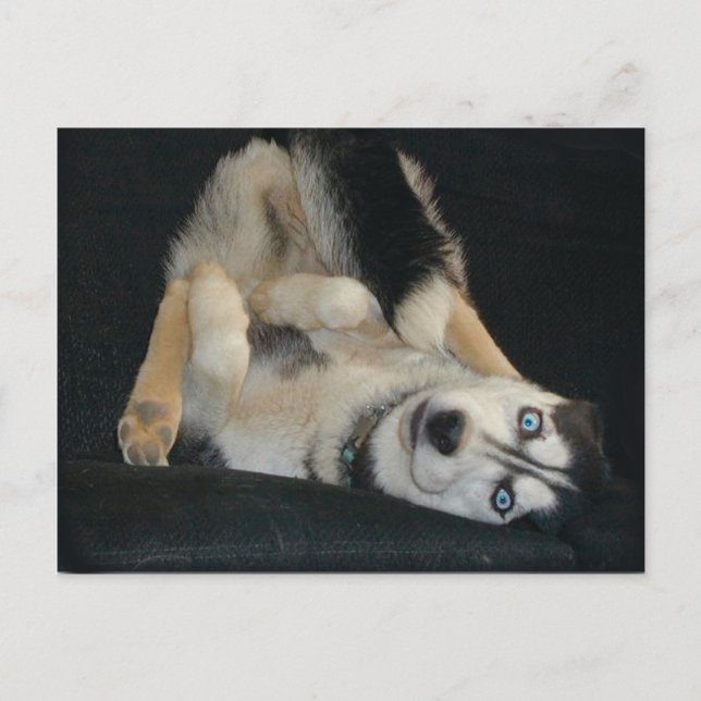 Head Over Heals Postcards (Front)