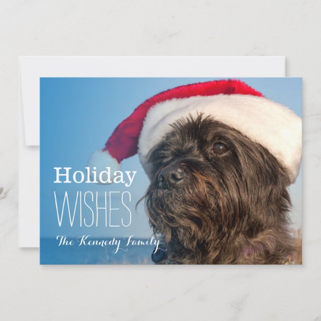 Head portrait of cairn terrier holiday card (Front)