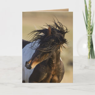 Head Shake Wild Horse Greeting Card
