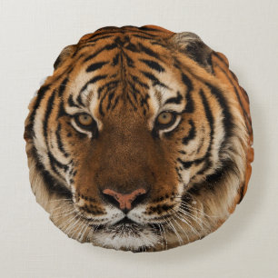 Head Shot of Siberian Tiger Round Cushion