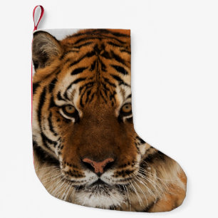 Head Shot of Siberian Tiger Small Christmas Stocking
