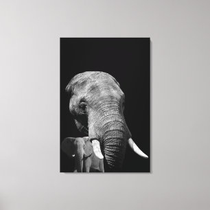 Head strong Elephant Canvas Print