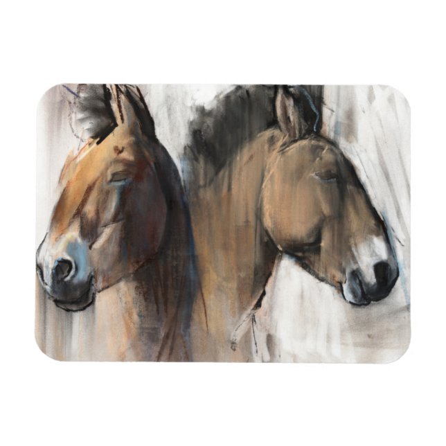 Head Study Magnet (Horizontal)