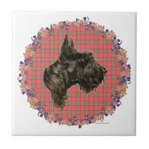 Head Study on Tartan Tile