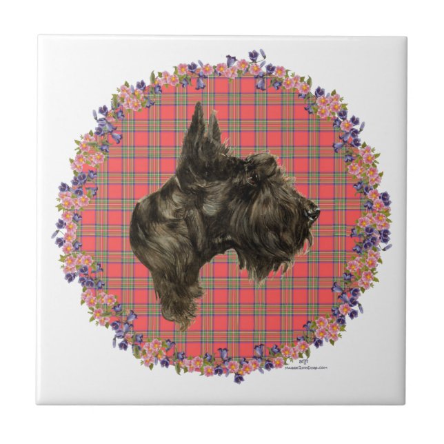 Head Study on Tartan Tile (Front)