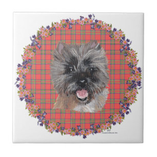 Head Study on Tartan Tile