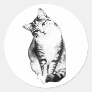 Head Tilt Tabby Cat Monochrome Sticker