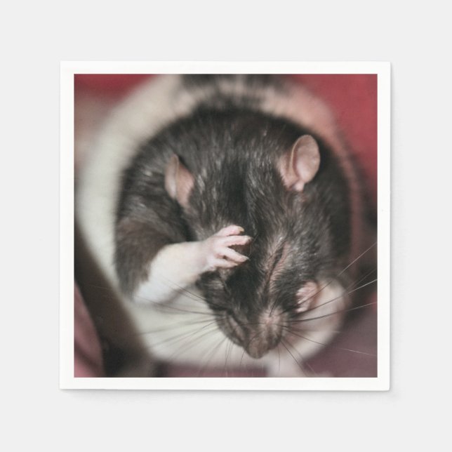 Headache! Napkin (Front)