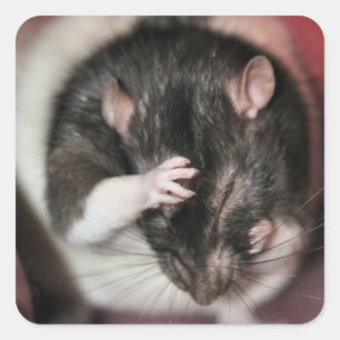 Headache! Square Sticker