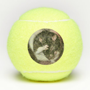 Headache Tennis Balls
