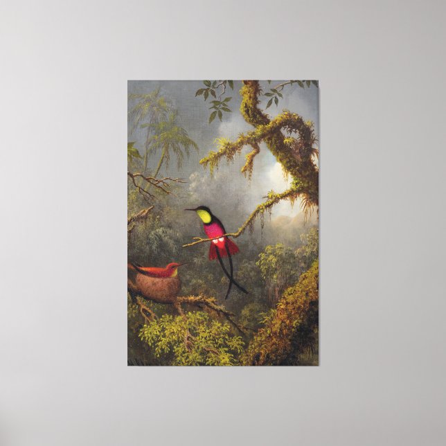 HEADE A Pair of Nesting Crimson Topaz Hummingbirds Canvas Print (Front)