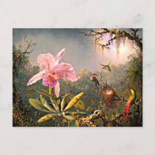 Heade - Cattleya Orchid and Three Hummingbirds Postcard