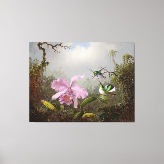 HEADE  Cattleya Orchid with Brazilian Hummingbirds Canvas Print (Front)