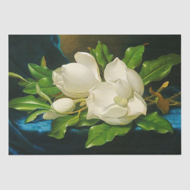 Heade Giant Magnolia Flower Blossoms Tissue Paper (Front)