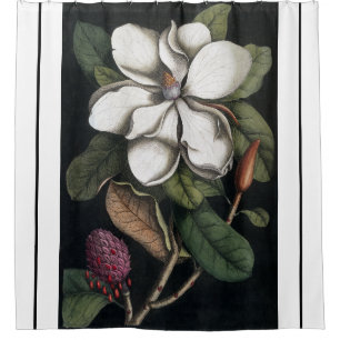 Heade Magnolia Flower Blossom Shower Curtain