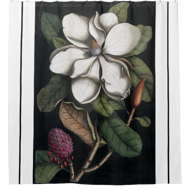 Heade Magnolia Flower Blossom Shower Curtain (Front)